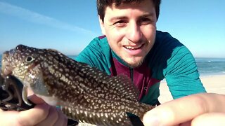 PESCARIA NA PRAIA DA RESERVA COM MUITOS BARCOS E PEIXES DE PEDRA - Bello Peixe