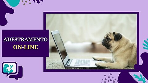 ADESTRAMENTO: Como funciona o treinamento ONLINE para CACHORRO