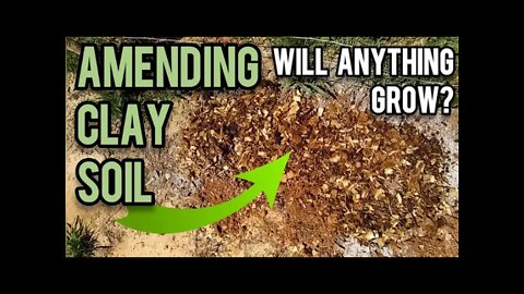 Amending Clay Soil | Will Anything Grow? - Ann's Tiny Life and Homestead