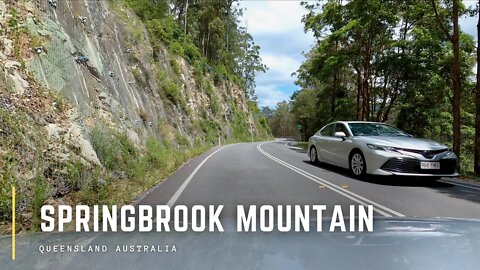 Driving Springbrook Mountain Up and Down - Queensland | Australia