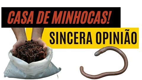 Minhocas na Composteira | Como cuidar?