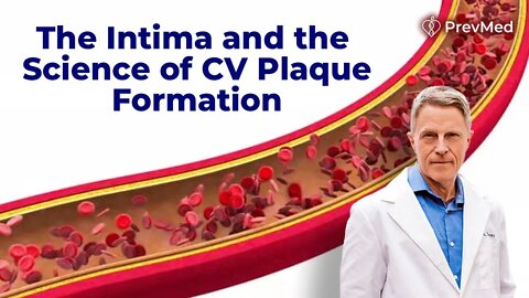 The Intima & the Science of CV Plaque Formation