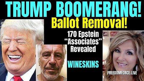 TRUMP BOOMERANG BALLOT REMOVAL - EPSTEIN ASSOCIATES, WINESKINS