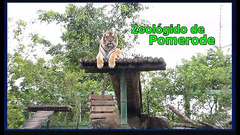 Zoológico de Pomerode Santa Catarina , Brasil