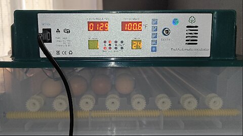 120 Automatic Egg Incubator with Egg Candler