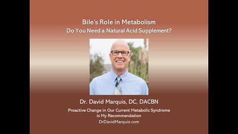 Bile's Role in Metabolism: Do You Need Support?