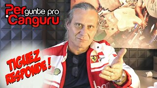 Tiguez Responde! Ep.129 - PERgunte pro CANGURU