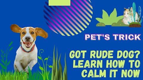 GOT RUDE DOG? LEARN HOW TO CALM IT NOW