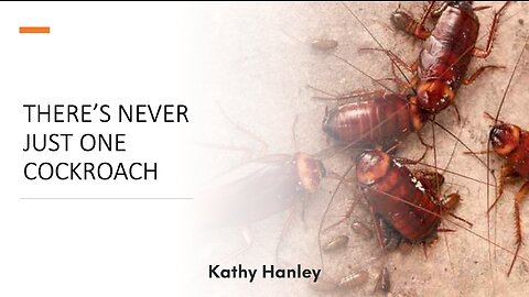 There's Never Just One Cockroach - Kathy Hanley - November 5th, 2023