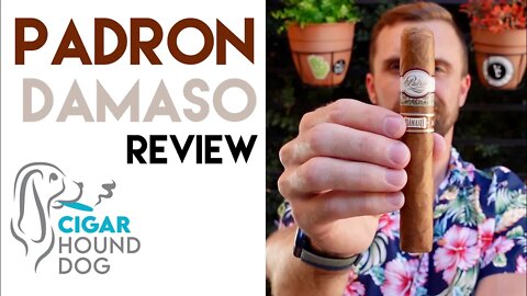 Padrón Dámaso Cigar Review