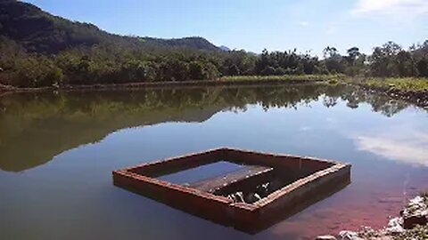 Trout Farming 101 From Spawning to Serving