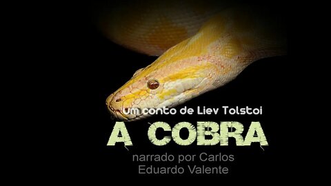 AUDIOBOOK - A COBRA - de Liev Tolstoi