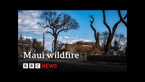 Hawaii wildfire: Maui emergency chief quits after sirens criticism - BBC News