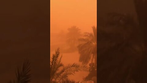 #sandstorm Kuwait