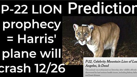 Prediction- P-22 LION prophecy = Harris' plane will crash Dec 26