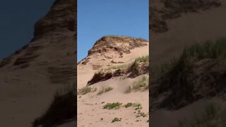 Very tall sand dunes