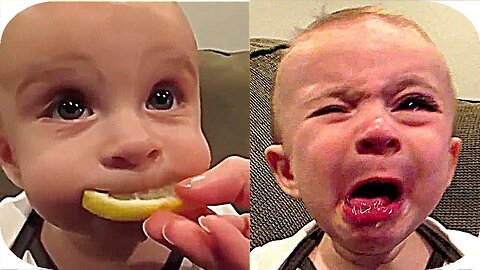 Lemon Eating Reaction Funny Babies