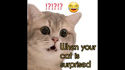 Surprised