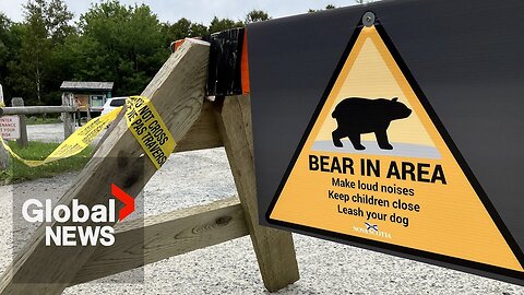 Halifax-area trail closed after possible bear attack