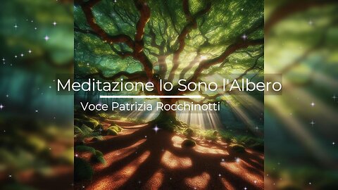 Meditazione "Il dono magico del tuo prezioso albero"