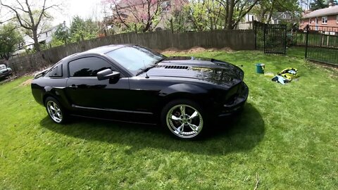 2008 Mustang Detailed + Battery In Our Trunk Cleaned Up