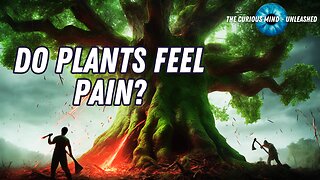 Do Plants Feel Pain? The Shocking Science Behind Plant Distress Signals 🌿🔊 Ethical Dilemma Explored