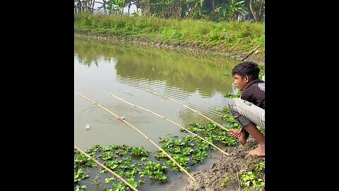 Amazing Fishing By Hook In Village Pond