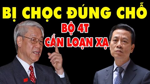 Bị Chọc Đúng Chỗ Hiểm - Bộ Trưởng Bộ 4T Điên Cuồng-CẮN LOẠN XẠ