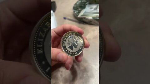 OVERLY EXCITED OVERVIEW, Australian Year Of The Snake Silver Coin