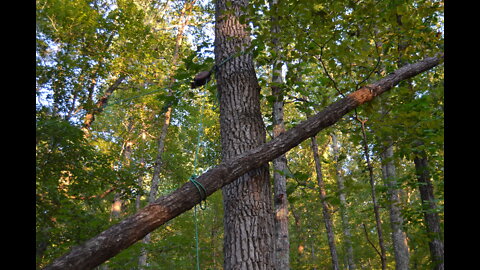 Treehouse site prep and post raising on a steep slope