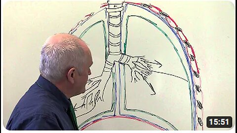 Respiratory System 3, Pleural membranes and breathing