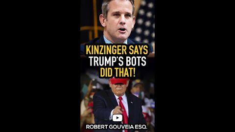 Kinzinger says Trump's Bots did that! #shorts