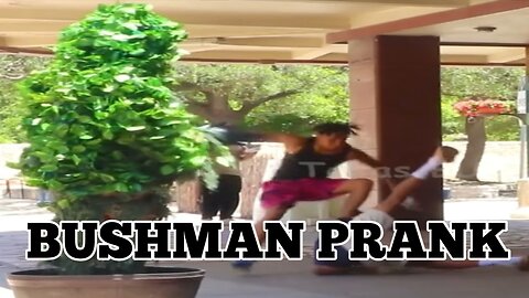 Bushman Prank