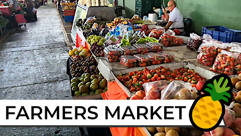 [4K] Tour The FARMERS MARKET 🍍 Walk Through Town & Then Check Out The Fresh Food #costarica #travel