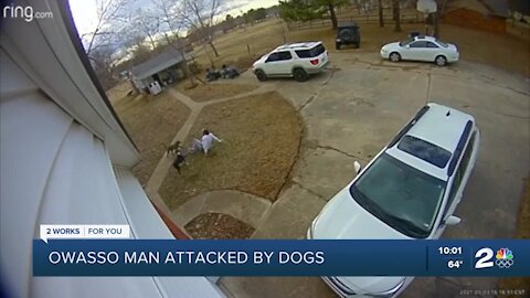 Owasso man attacked by 2 stray dogs