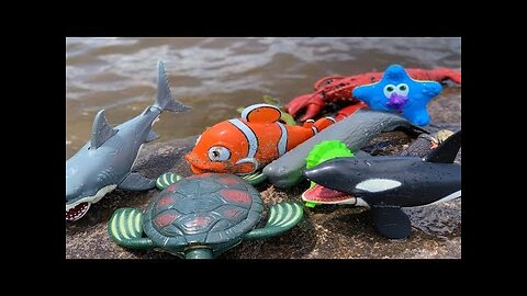 Sea Animal Toys This Summer at the Shore