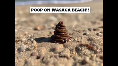 Wasaga Beach, Ontario Is In a Crappy Situation