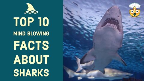 10 Incredible Facts About Sharks You Won't Believe - Learn the Fascinating Truths Now!