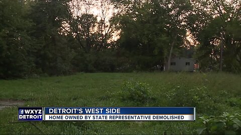 State Rep. Gay-Dagnodo speaks to Detroit City Council after her home was demolished