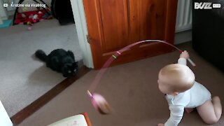 Ce bébé s'entend très bien avec le chat de la maison