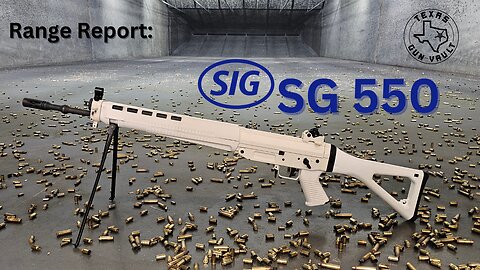 Range Report: Sig Sauer SG 550 (Civilian version of the Swiss Stgw 90)