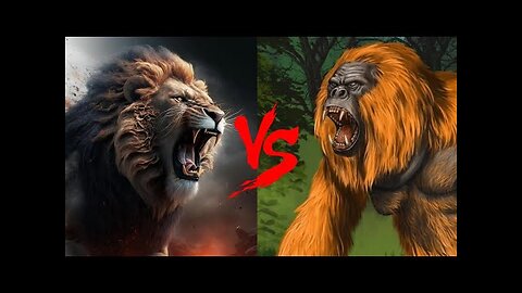 Baboon vs Lion Fight to Death: Lion Attaching Baboon & Baboon Dying In a Lion Jaw