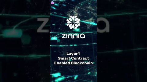 Smart contracts and Zinnia Network, what to expect