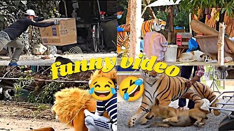 Troll Prank Dog Funny & Fake Lion And Fake Tiger Prank To Dog & Hug Box Prank To Dog