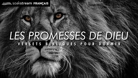 Les Promesses De Dieu | Versets Bibliques Pour Dormir