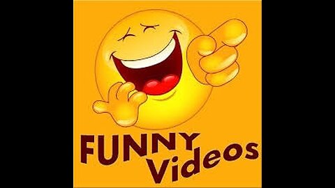 funny videos