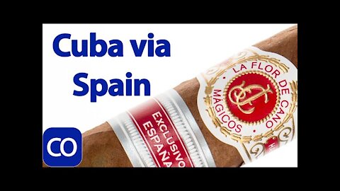 Cuban La Flor de Cano Magicos Regional Edition Spain Cigar Review