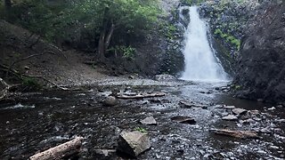 Very Short Hike Leg Stretcher to Dog Creek Falls! | Columbia River Gorge White Salmon Washington 4K