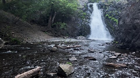 Very Short Hike Leg Stretcher to Dog Creek Falls! | Columbia River Gorge White Salmon Washington 4K