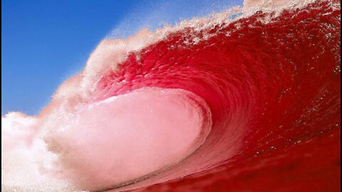 The Tide Is Turning, Red Wave Sweeps the USA, MSM Turns Against Fauci